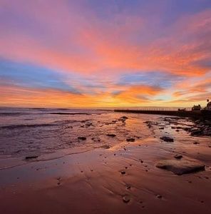 Meet your Posher, Lylak